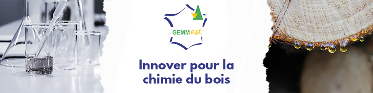 Gemm_Est - Newsletter n°1
