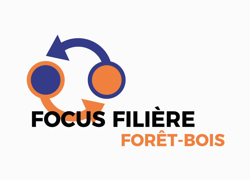Focus filière forêt-bois
