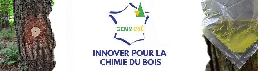 Gemm_Est - Newsletter n°2