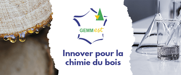 Gemm_Est - Newsletter n°3