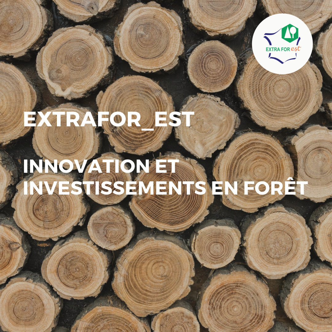 Rapport MAFF - Innovation et investissement en forêt