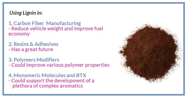 Advancements in Wood Biomass Derived Bio-products